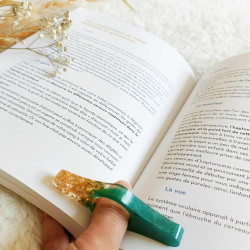 Bagues de lecture AMELIA