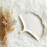 Plateau BILOBA