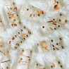 Dominos COQUILLAGE