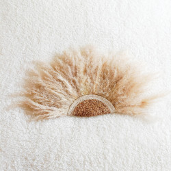 Eventail Pampas - Moyen