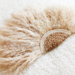 Eventail Pampas - Moyen
