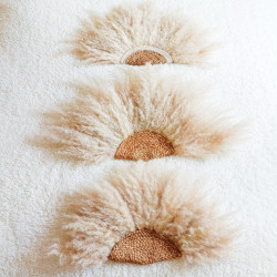Eventail Pampas - Grand