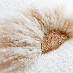 Eventail Pampas - Grand