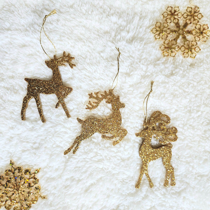 Rennes Noël